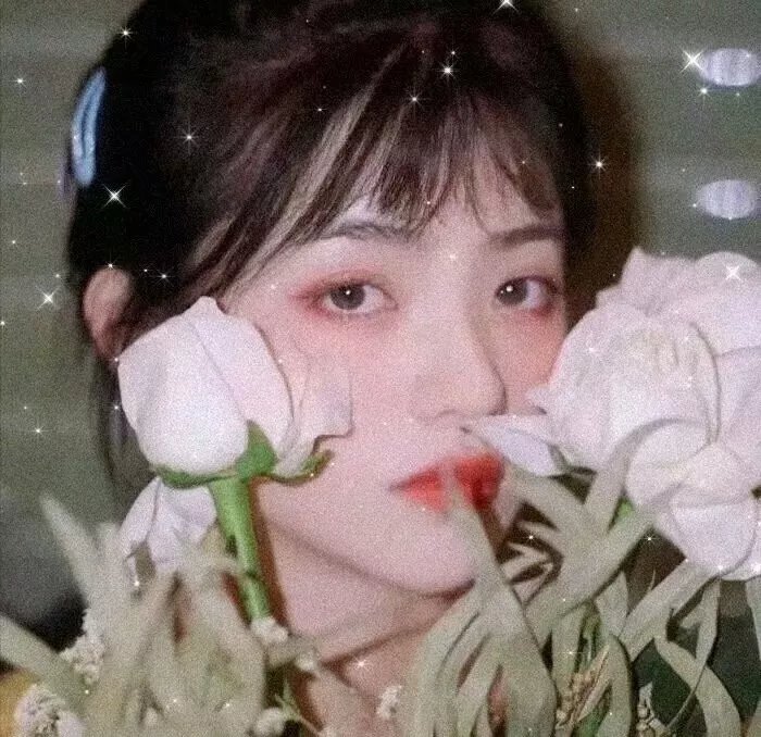 木府风云